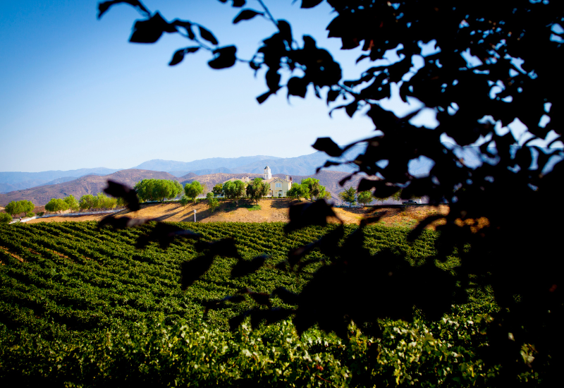 Temecula California wine country