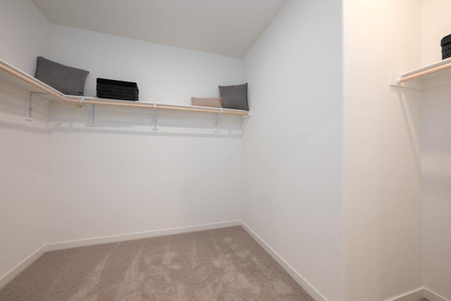 A room with a shelf and a rug.