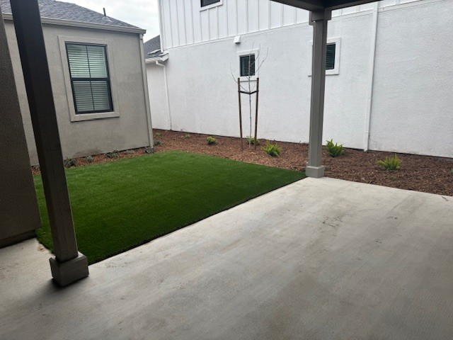 A backyard with a green lawn.