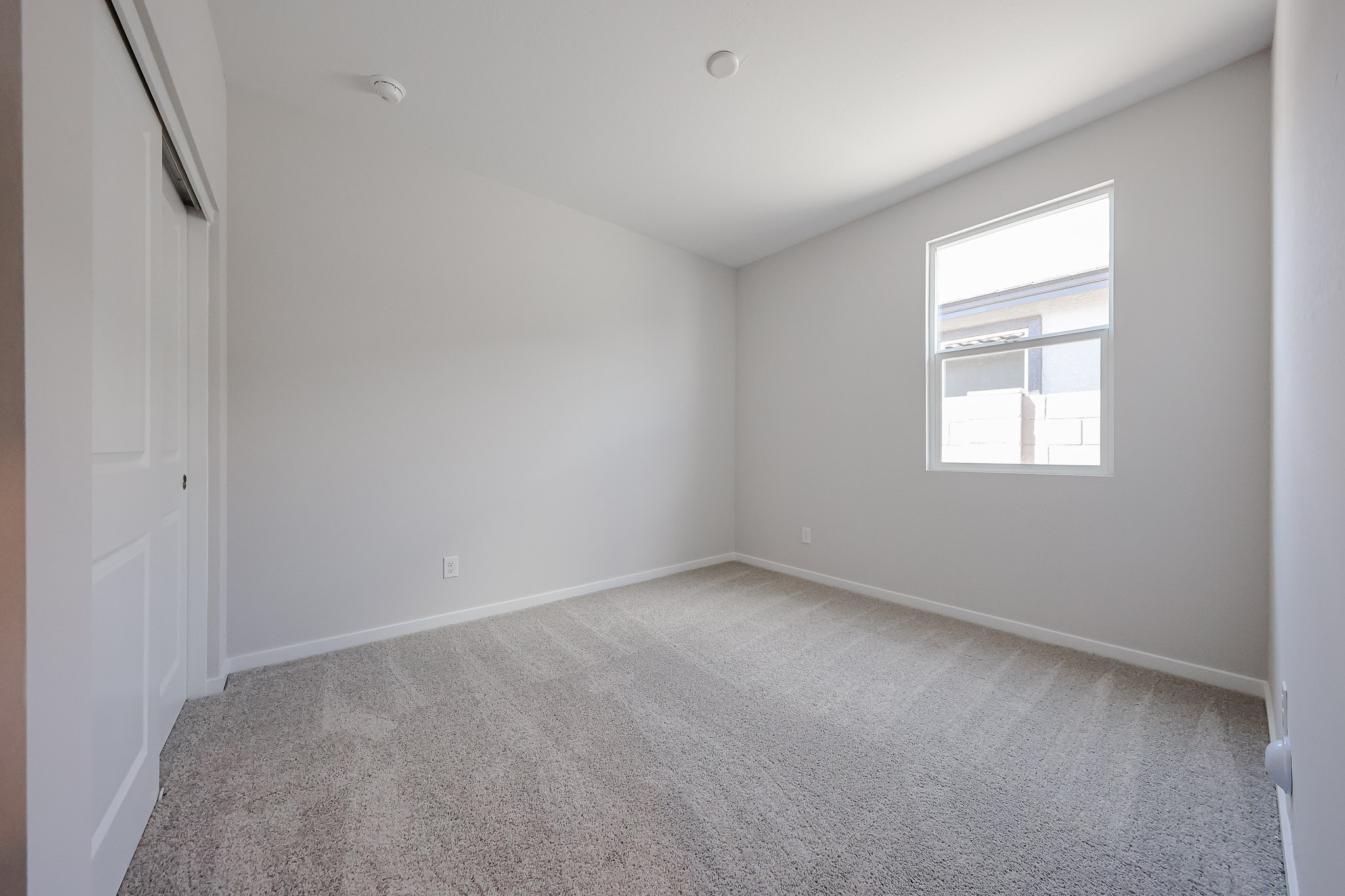 A room with a carpet and windows.