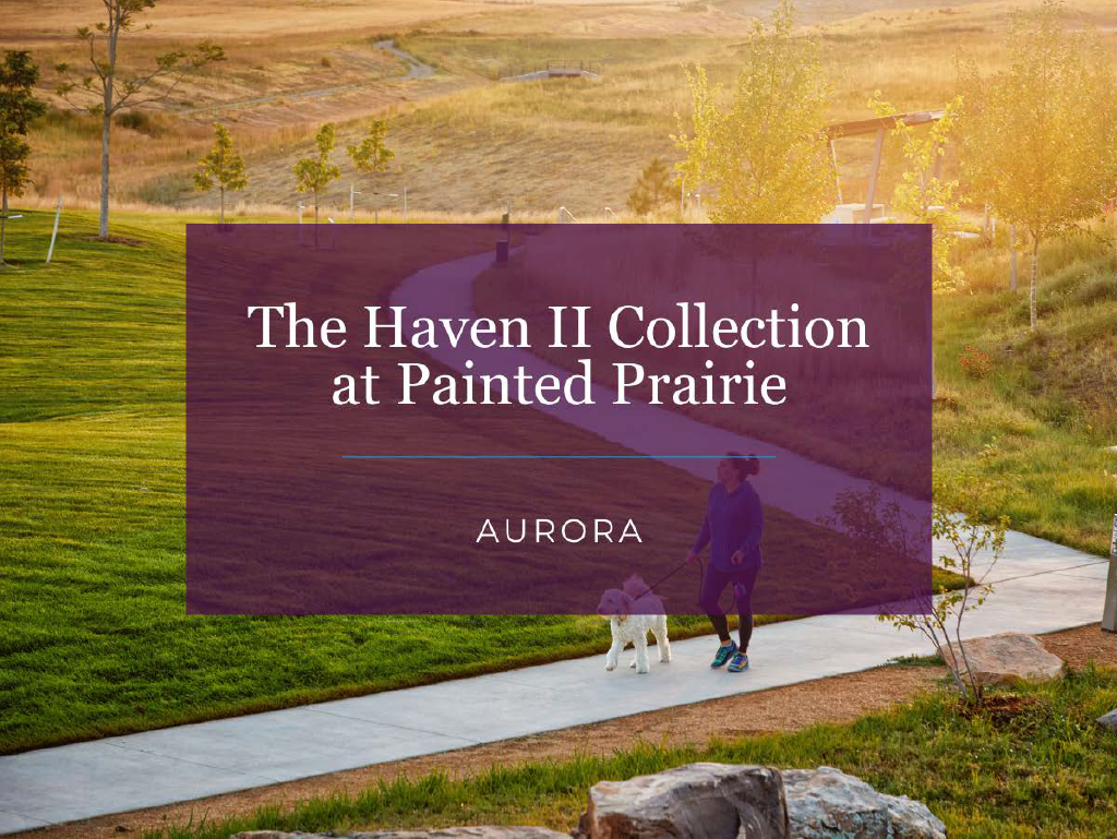 A person walking a dog.