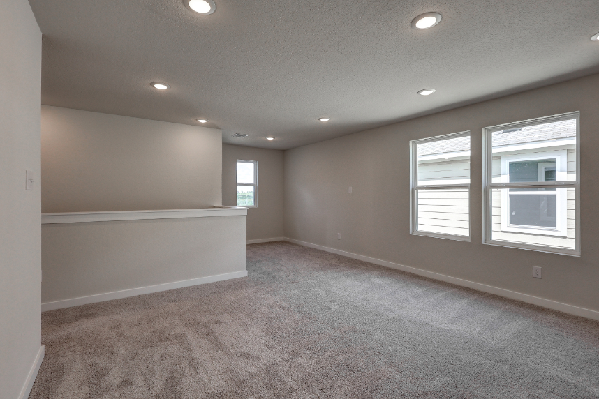 A room with a carpet and windows.