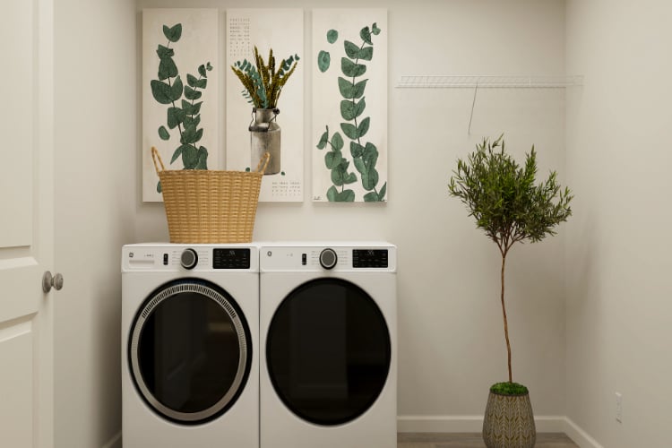 A white wall with a plant and a washing machine.